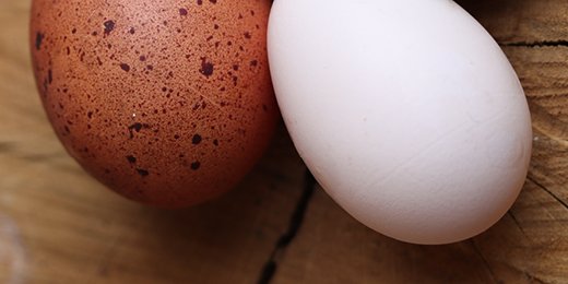 Eier-Utensilien