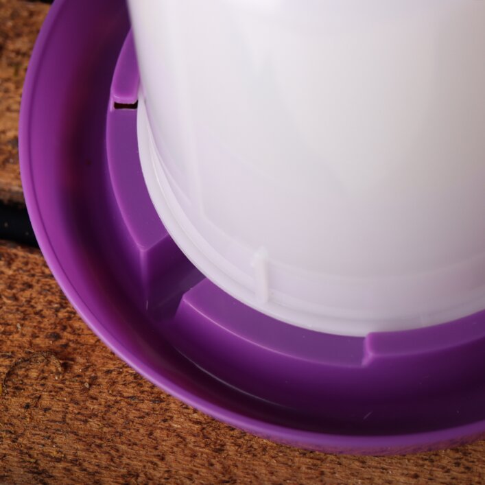 Kükentränke 1,5l - purple | Quailzz®