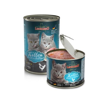 Kitten | Leonardo® - Quality Selection